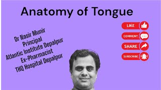 Anatomy of Tounge [upl. by Terryn]