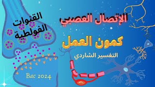 الإتصال العصبي كمون العمل  مصدره  التفسير الشاردي القنوات الفولطية bacscience bac2024 [upl. by Auhsot]