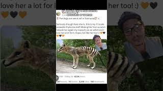 Thylacine photos debunked [upl. by Rieger]