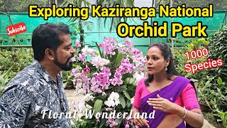 Exploring Kaziranga National Orchid Park  A Floral Wonderland orchid kaziranganationalorchidpark [upl. by O'Driscoll]