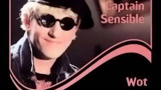 Captain Sensible  Wot the only extended version [upl. by Seravart]