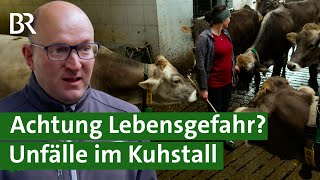 Aggressive Bullen und Kühe mit Kälbern  unterschätzte Gefahr Unfälle im Stall  Unser Land  BR [upl. by Nauaj]