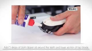 How to Oil your Wahl Clipper Blade [upl. by Kamila]