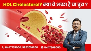 क्या होता है HDL Cholesterol  क्या ये अच्छा है या बुरा What is HDL Cholesterol  Is it good or bad [upl. by Wachtel]