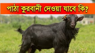 পাঠা কুরবানী দেওয়া যাবে কি Patha Qurbani Dewa Jabe Ki New Bangla Waz Mahfil [upl. by Kluge68]