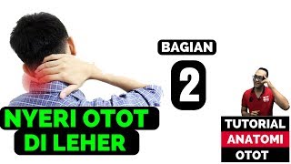 otot leher tegang dan kaku  Bagian 2 [upl. by Nod]