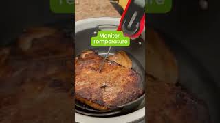 How To Use A Meat Thermometer [upl. by Nady908]