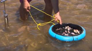 How to catch whiting with yabbies [upl. by Nytsirk]