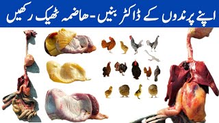 The Poultry Digestive System  Learn and Earn Through Poultry Farming  Part 02  Dr ARSHAD [upl. by Nottage]