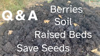 Q amp A Soil Raised Beds Berries Saving Seeds [upl. by Eusoj]