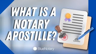 What is a Notary Apostille HOW TO GET Apostille Attestation [upl. by Beffrey]