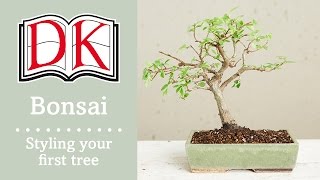 Bonsai Styling Your First Bonsai Tree [upl. by Wilkison71]