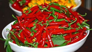 GROWING CHILLIES  CONTAINER SIZE MATTERS [upl. by Picco]