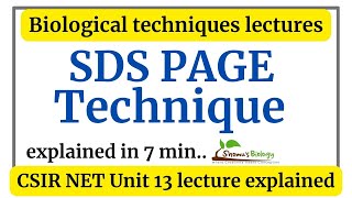 SDS PAGE electrophoresis in Hindi  SDS PAGE animation explained [upl. by Syhr]