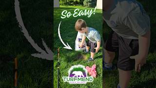 EASIEST Way to Patch Bare Spots in Your Lawn  TurfMend [upl. by Anawd]