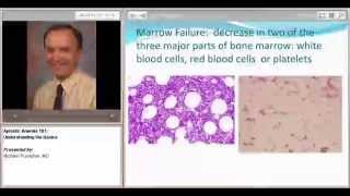 Aplastic Anemia 101 Understanding the Basics [upl. by Oralee]