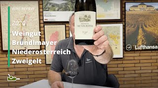 Wine Review Weingut Brundlmayer Niederosterreich Zweigelt 2020 [upl. by Hillyer]