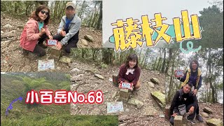 20231216高雄桃源區藤枝山寶山二集團櫻花公園小百岳94283 [upl. by Eceinahs]