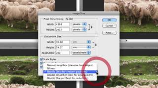 How To Resize Images In Photoshop Without Losing Quality [upl. by Mcloughlin]