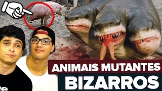 OS ANIMAIS MUTANTES MAIS BIZARROS DO MUNDO [upl. by Lletnom]