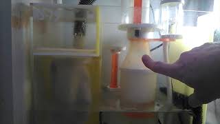 Would I buy the Icecap K1100 Protein Skimmer again [upl. by Nalod]