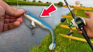 Canal Pike Fishing with WEEDLESS Lures [upl. by Som553]