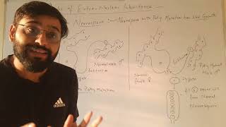 Poky mutation in Neurospora example of Extrachromosomal inheritance [upl. by Asli]