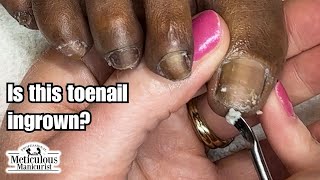 Pedicure at Home Tutorial Beauty 101 [upl. by Ontina879]