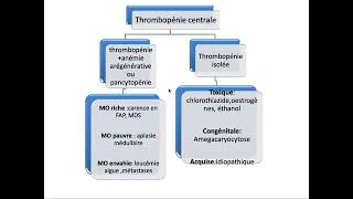 Hemato 09Hémostase primaire Purpura thrombopénique immunologique PTI Dr Abbadi [upl. by Yuria849]