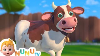 The Cow song  More Nursery Rhymes amp kids Songs  NuNu Tv [upl. by Karine]