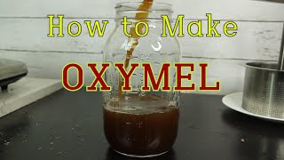 How to Make Oxymel Make Lemon Balm Oxymel with Three Simple Ingredients Oxymel Herb Extract Short [upl. by Rimaj309]