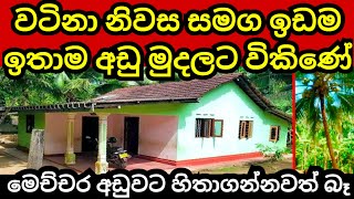 අංගසම්පූර්ණ නිවස හා ඉඩම පට්ටම අඩුවට  Aduwata idam  Aduwata niwasa  House for sale  Land for sale [upl. by Frissell]