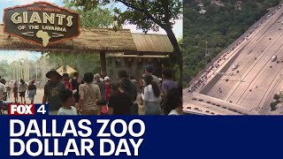 Cold front on Dallas Zoos Dollar Day brings milder weather packed crowds and lots of traffic [upl. by Seka]