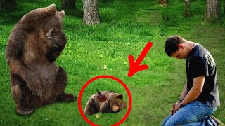 Crying Mama Bear Brings Dying Cub To This Man Then This Man Did Something Unbelievable [upl. by Akcired]