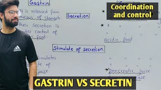 Gastrin vs secretin  gut hormones class 12  physiology of gastrin and secretin [upl. by Conlee]