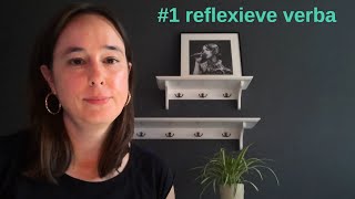 zakelijk Nederlands B2C1 reflexieve werkwoorden reflexive verbs learndutch nt2nederlandsleren [upl. by Nakre]