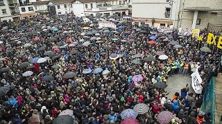 Altsasuko manifestazioa BERRIA [upl. by Nednil]