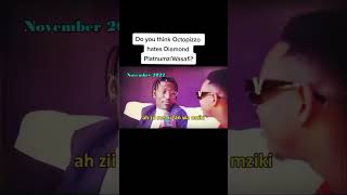 Diamond Platinumz Vs Octopizzo Beef diamondplatnamz octopizzo wasafi [upl. by Ahsenat]