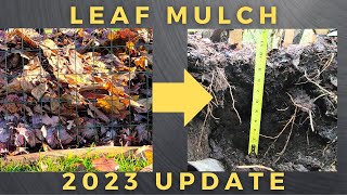 Leaf Mulch 2023 Update [upl. by Dougal]