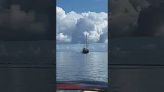 Pirate ship on port stern sailing sailboat cruising ocean [upl. by Ahsinuq191]