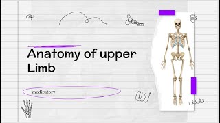 Anatomy of humerus part 1Anatomy of upper limbUpper lim Anatomy Hmerus bone in urdu hindi lecture [upl. by Rihat173]