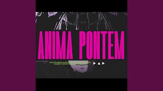 Anima Pontem [upl. by Teragram562]