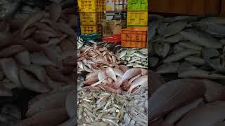 Chennai vanagaram fish market [upl. by Ronni]