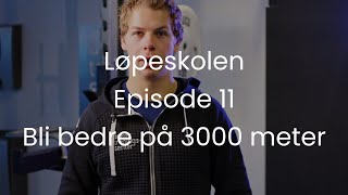 Løpeskolen  Episode 11  bli bedre på 3000 meter [upl. by Aihpos]