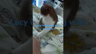 Lucy is playing with my mum Lucy KerryAnneChannel [upl. by Halyahs]