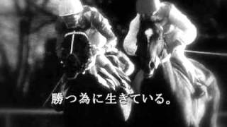 2011 JRA CM MAD 有馬記念 テンポイント [upl. by Lednar956]