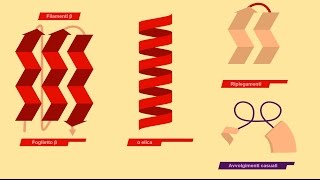 BIOMOLECOLE 2 Lipidi Proteine [upl. by Nothgiel]