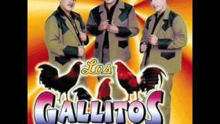 Los Gallitos de Chihuahua Me Ilucionaste [upl. by Hiasi783]