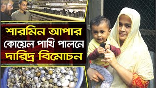 কোয়েল পাখি পালনে দারিদ্রকে জয় করলেন শারমিন আপা  Koyel Pakhi  Aminul Ahsan Rubayat  Channel Krishi [upl. by Buerger]