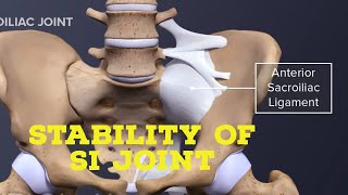 stability of sacroiliac joint [upl. by Yelekreb]